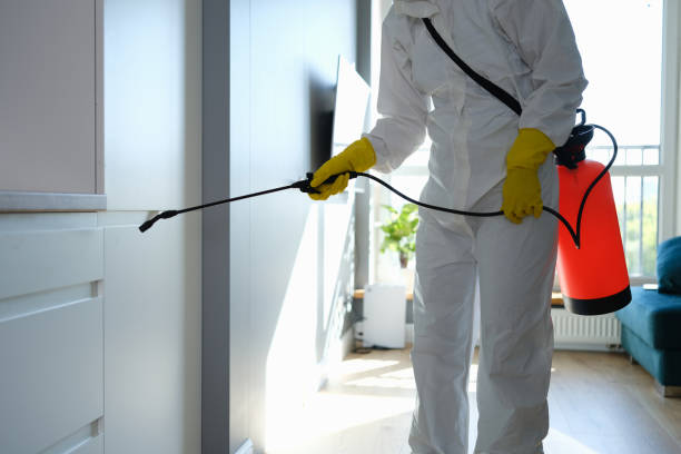 Best Localized Mold Remediation (e.g., coastal areas, humid climates) in Ball, LA